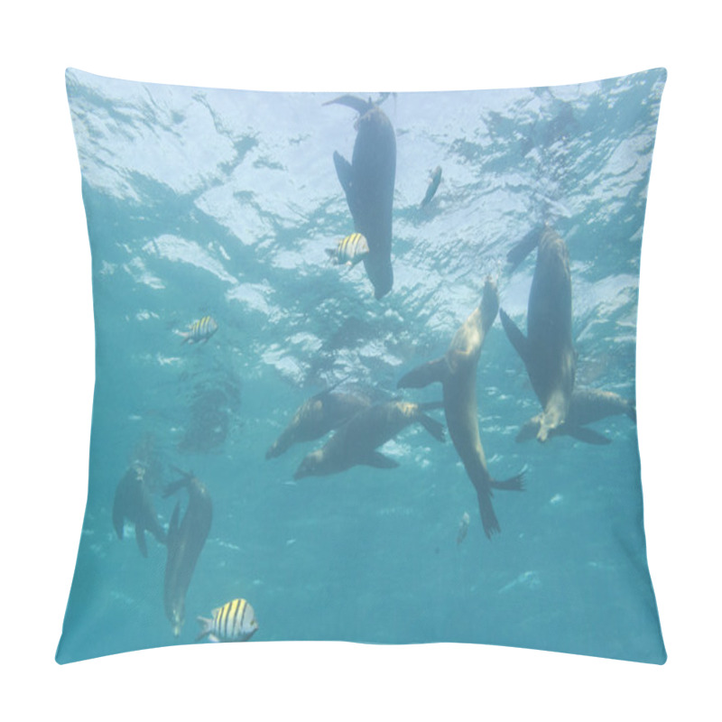 Personality  A Group Of Sea Lions Underwater Pillow Covers