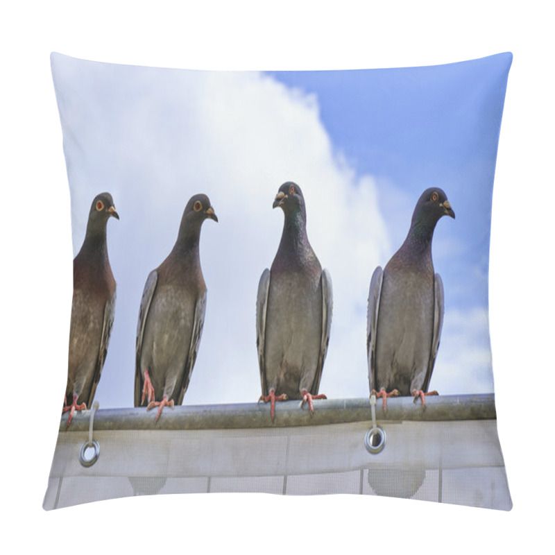 Personality  Four Young Pigeons On A Metal Bar Pillow Covers