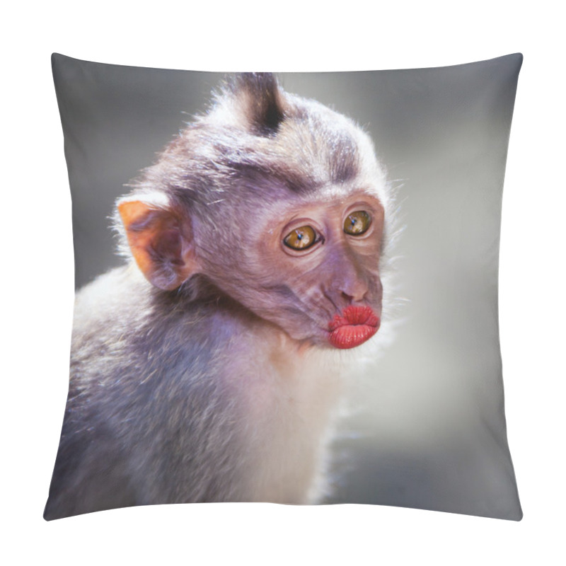 Personality  Funny Monkey With A Red Lips Pillow Covers