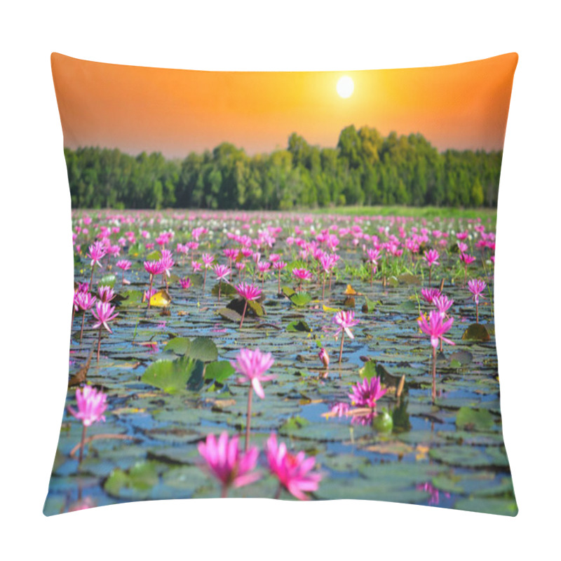 Personality  Fields Water Lilies Bloom Season In A Large Flooded Lagoon In Tay Ninh, Vietnam. Flowers Grow Naturally When The Flood Water Is High, Represent The Purity, Simplicity Pillow Covers