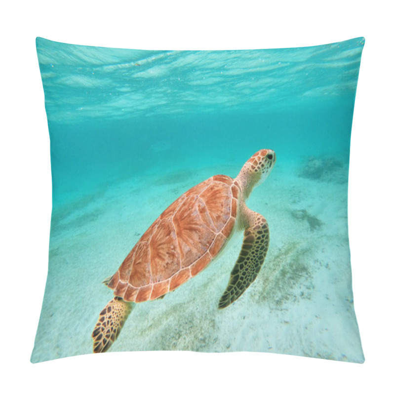 Personality  Green Sea Turtle In Caribbean Sea Near Akumal Bay Mexico. High Quality Photo Pillow Covers