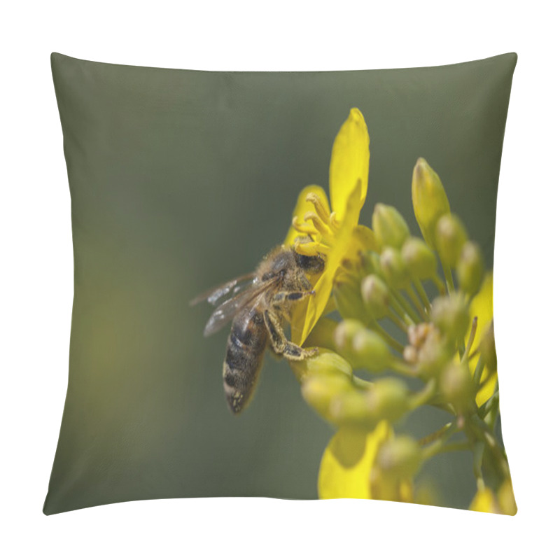 Personality  Honeybee - Canola Flower Pillow Covers