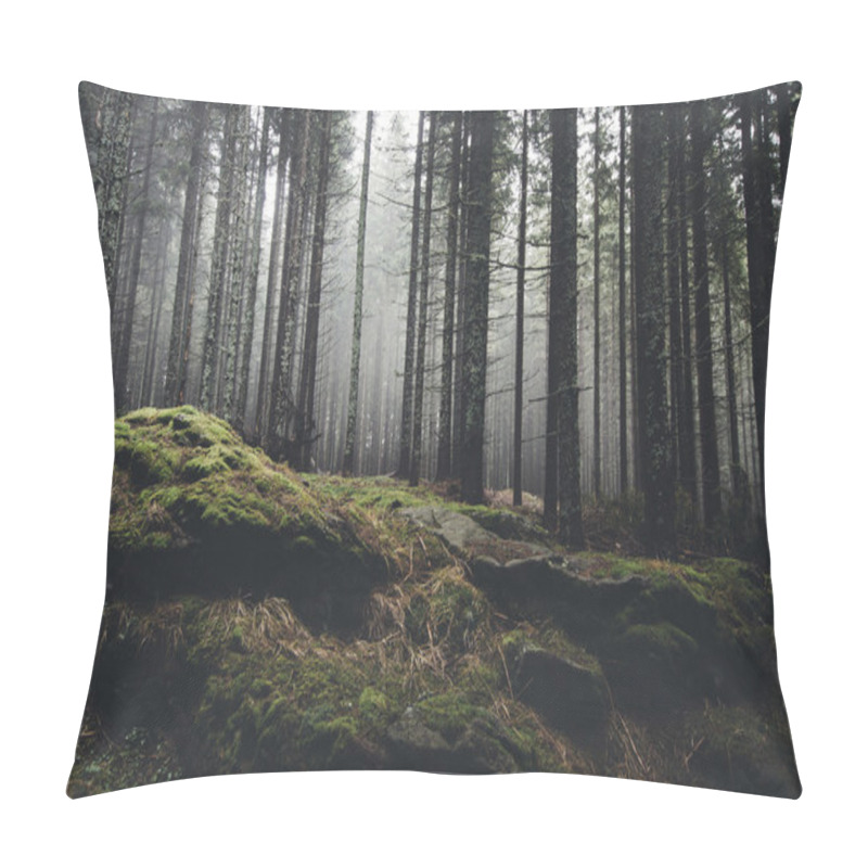 Personality  Dark Misty Spooky Forest Pillow Covers