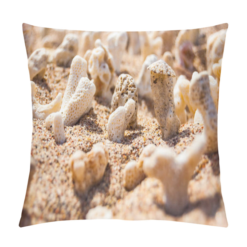 Personality  Many Small White Dry Corals Lying On The Sand On The Red Sea Beach In Eilat, Israel Pillow Covers