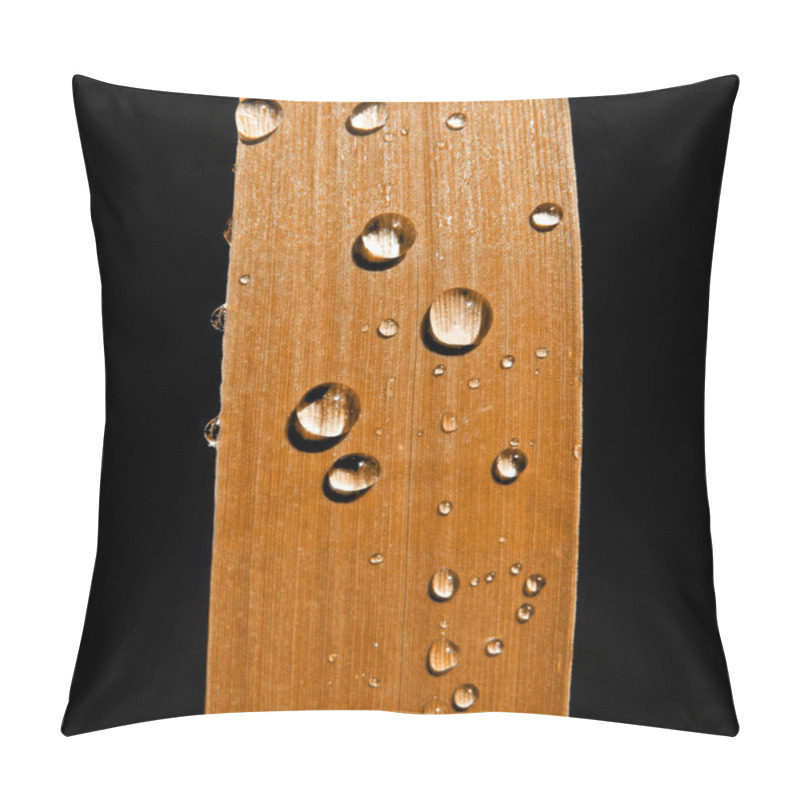 Personality  Dripped Rain On Sedge Pillow Covers