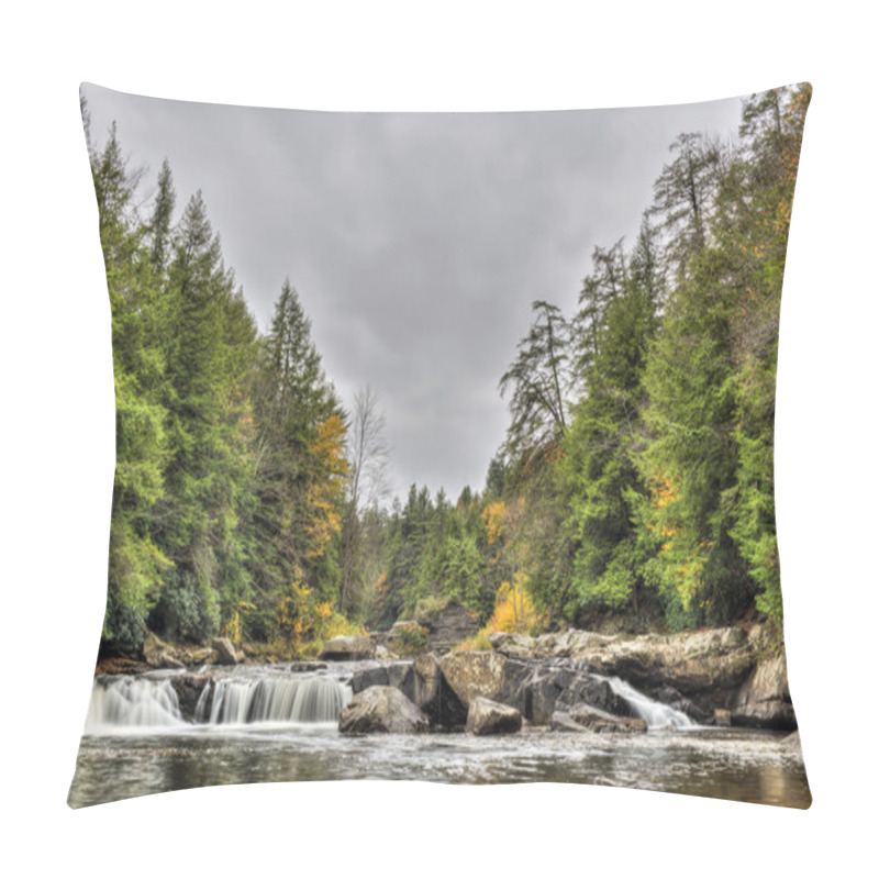 Personality  Swallow Falls Waterfall In Appalachian Mountains In Autumn Pillow Covers