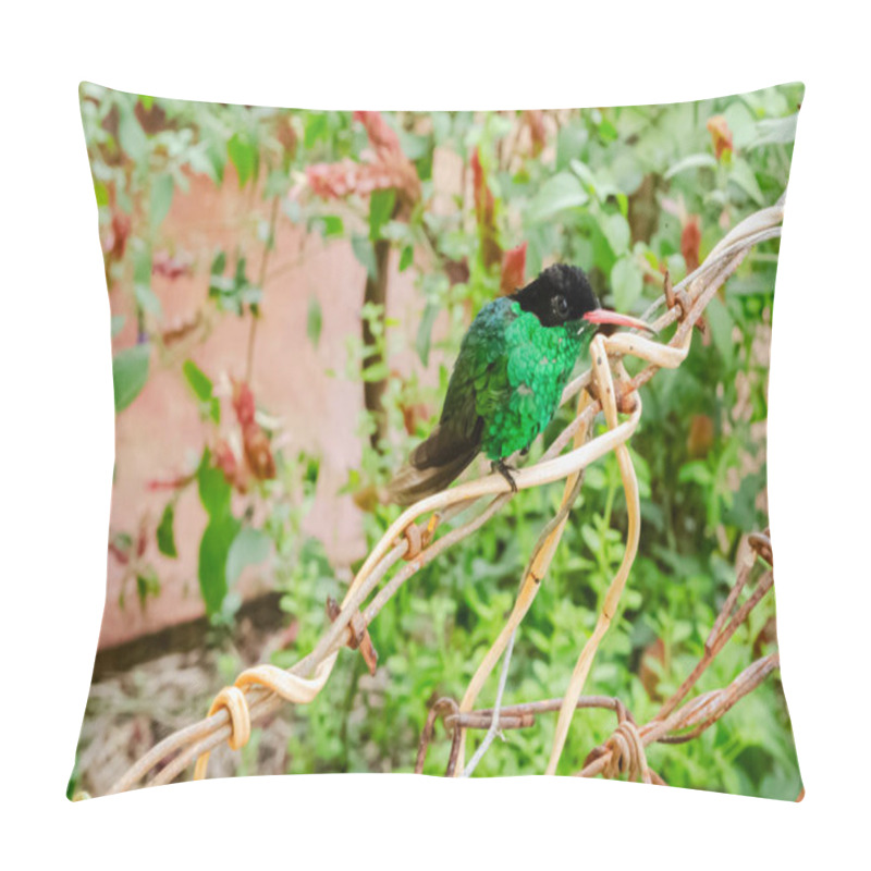 Personality  A Short Tail Emerald Hummingbird Perches On A Vine. Pillow Covers