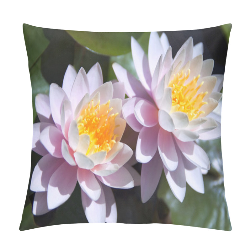 Personality  Waterlilies Pillow Covers