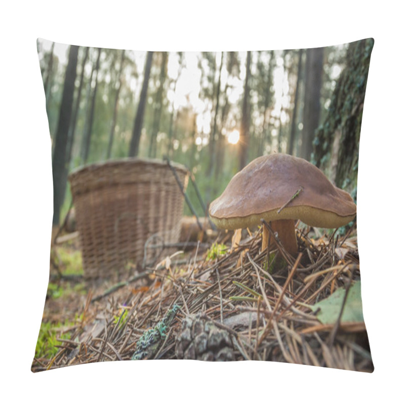 Personality  Closeup Mushroom And Basket In Forest Pillow Covers