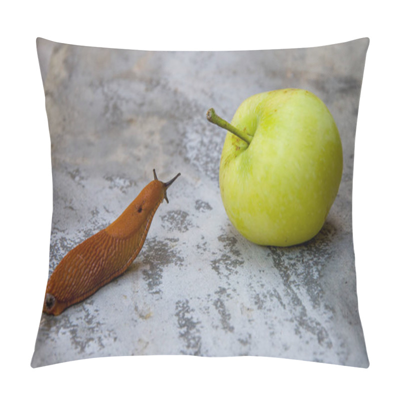 Personality  Roadside Red Slug Eating A Fallen Apple, A Pest Of Orchards And Gardens, The Spanish Slug Pillow Covers