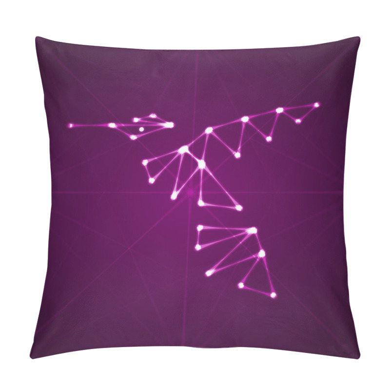 Personality  Abstract Hummingbird Illustration Pillow Covers