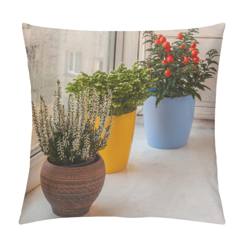 Personality  Household Ornamental Plants Pillow Covers