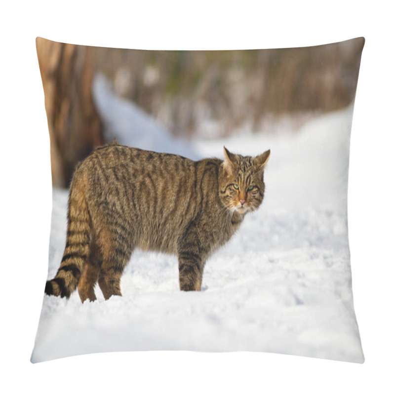 Personality  European Wildcat And His Penetrating Look In The Snowy Forest Pillow Covers