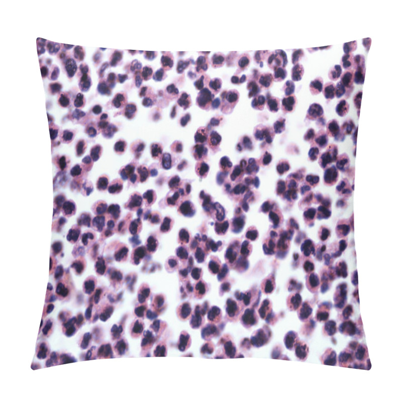 Personality  White Blood Cells Of A Human Pillow Covers