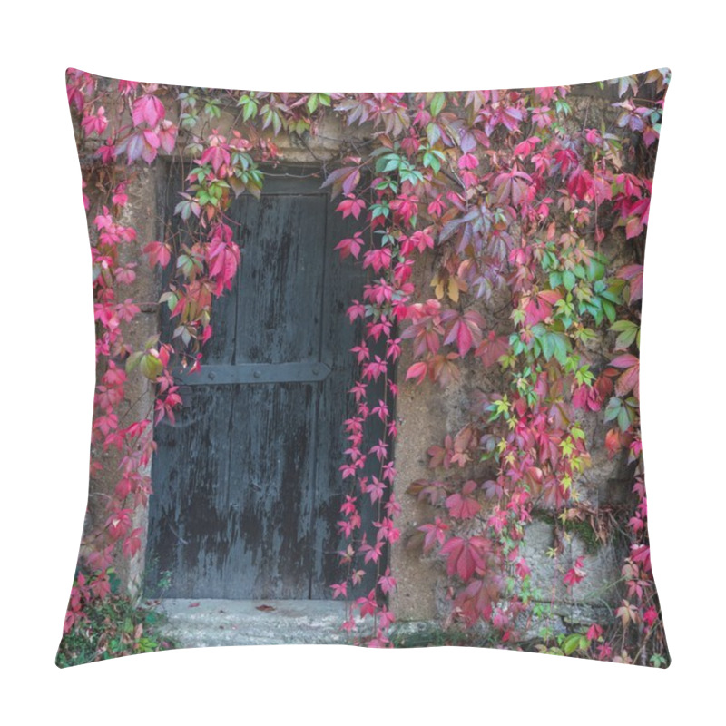 Personality  Old Wooden Door Overgrown With Ivy Pillow Covers