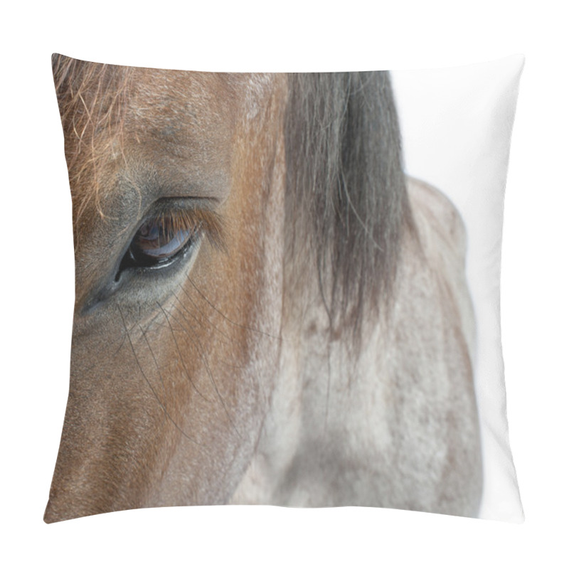 Personality  Belgian Horse, Belgian Heavy Horse, Brabancon, A Draft Horse Breed Pillow Covers