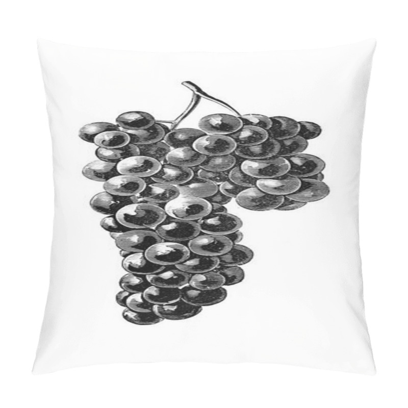 Personality  Art Picture. Illustration On White Background. Grape Pillow Covers