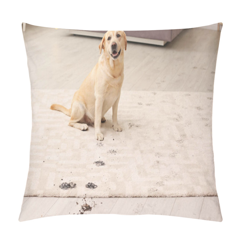 Personality  Cute Dog Leaving Muddy Paw Prints On Carpet Pillow Covers