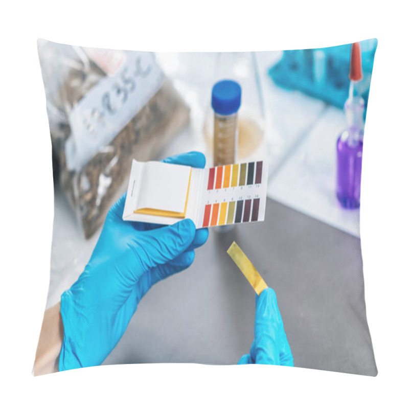 Personality  Laboratory Soil Analysis. Female Scientist In White Coat Measuring PH Of Soil Sample With Litmus Strips. Agrochemical Examination Of Soil. Pillow Covers