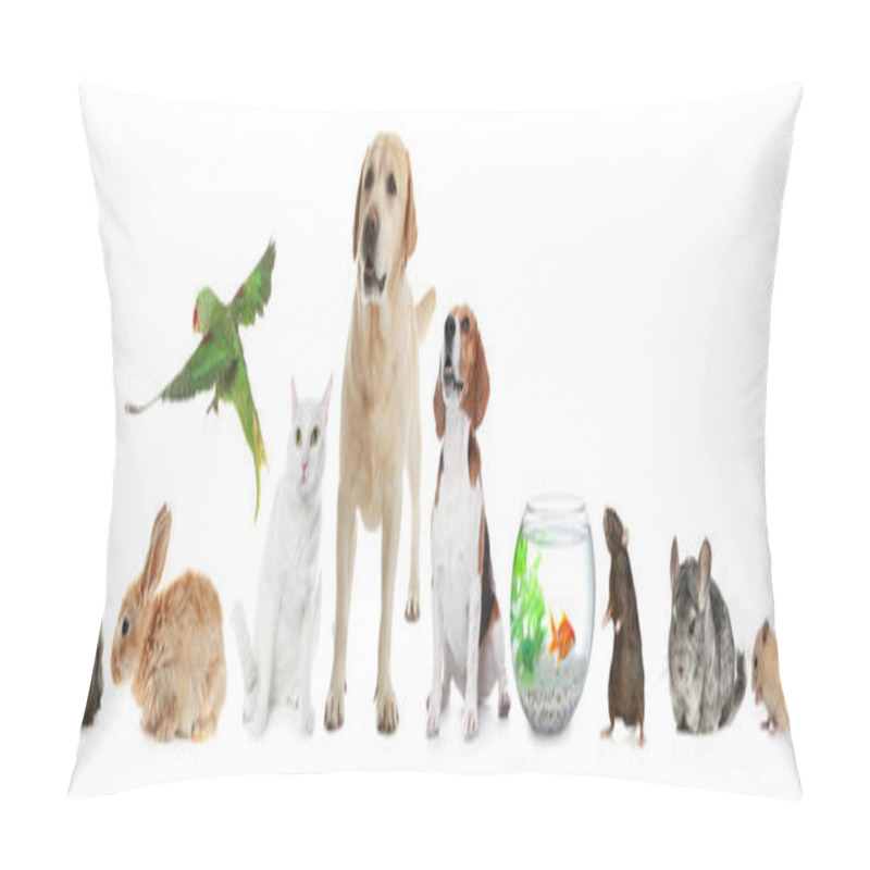 Personality  Group Of Different Domestic Animals On White Background, Collage Pillow Covers