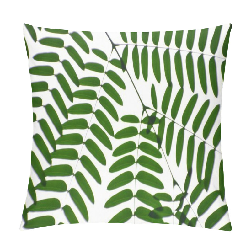 Personality  Lush Green Ferns Showcasing Intricate Leaf Patterns Against A Light Background. Pillow Covers