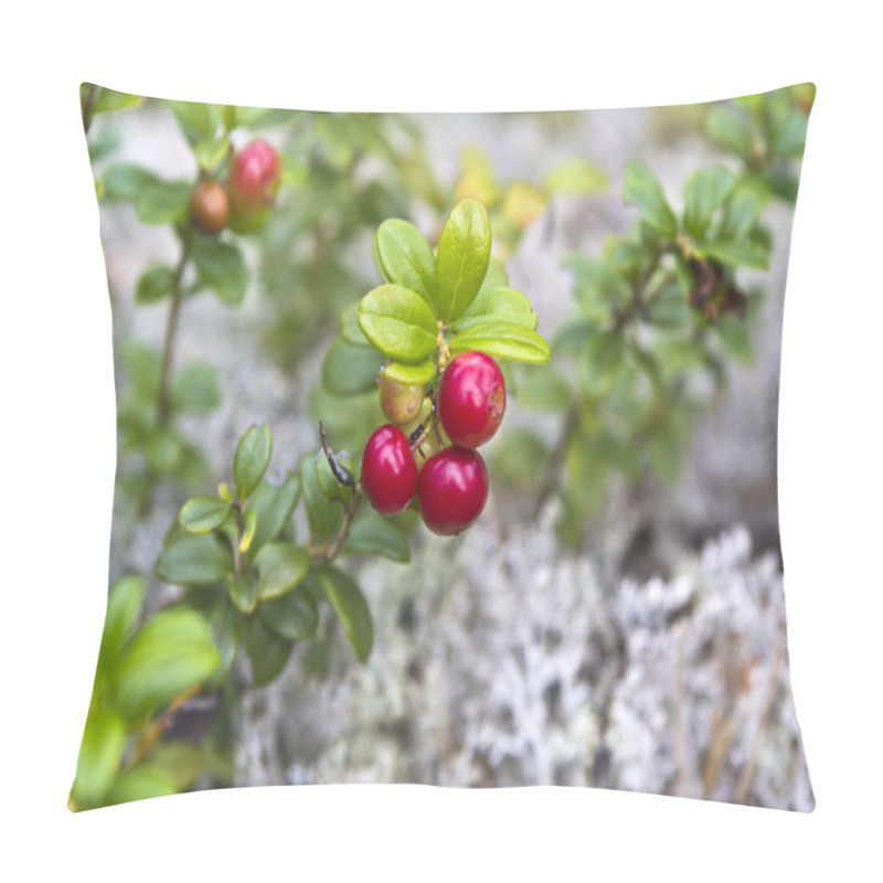 Personality  Karelian Bilberry Pillow Covers