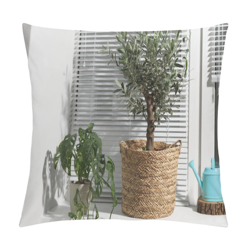 Personality  Beautiful Young Potted Olive Tree, Monstera Obliqua And Watering Can On Windowsill Indoors. Interior Element Pillow Covers