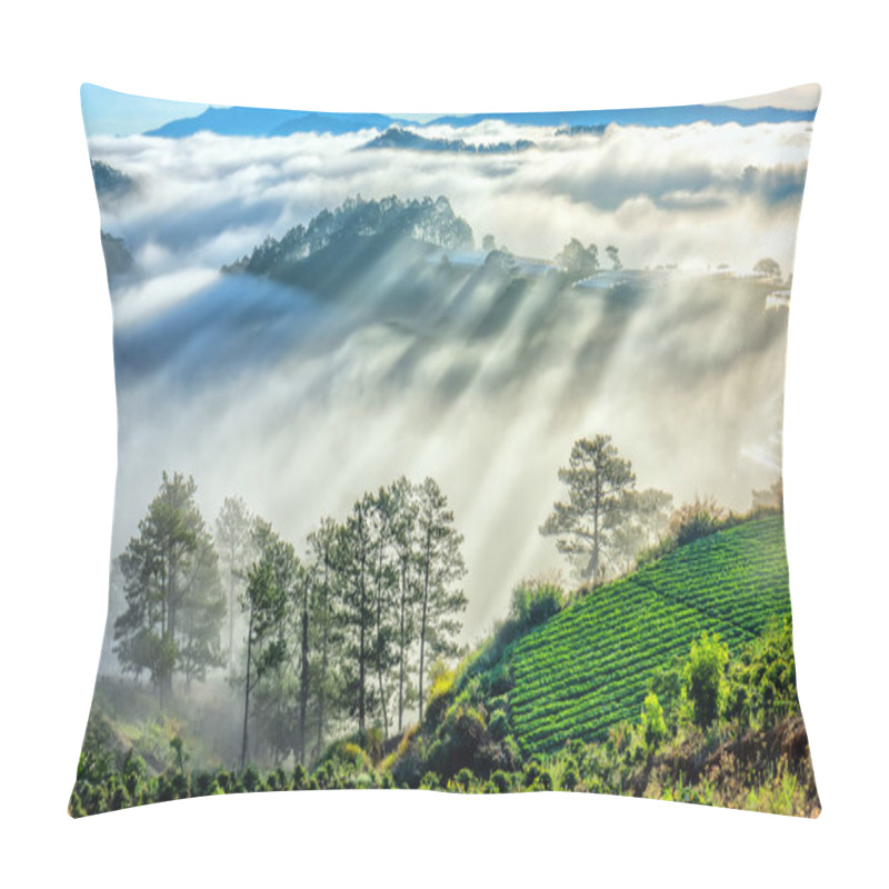 Personality  Beautiful Sunrise Through The Fog With Long Shadows And Sunbeams Pillow Covers