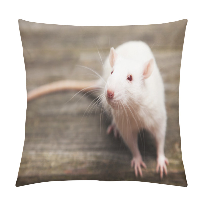 Personality  Pet Rat Pillow Covers