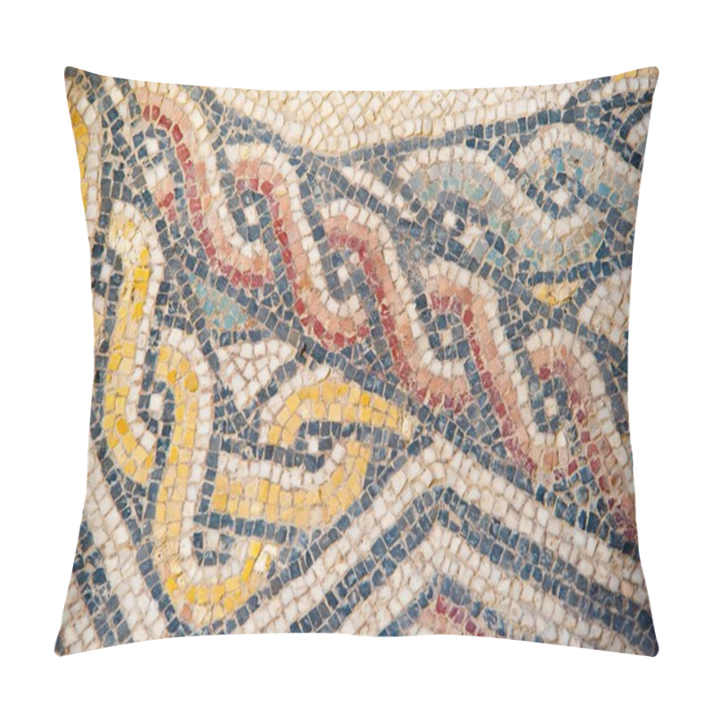 Personality  Old Roman Mosaics Pillow Covers