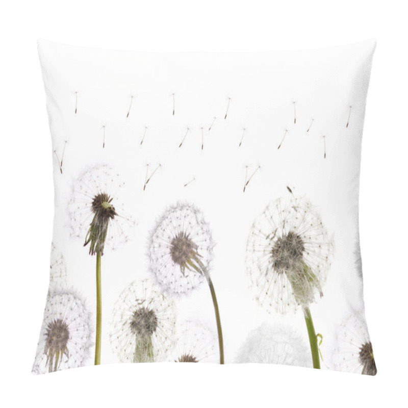 Personality  White Dandelions Field Pillow Covers