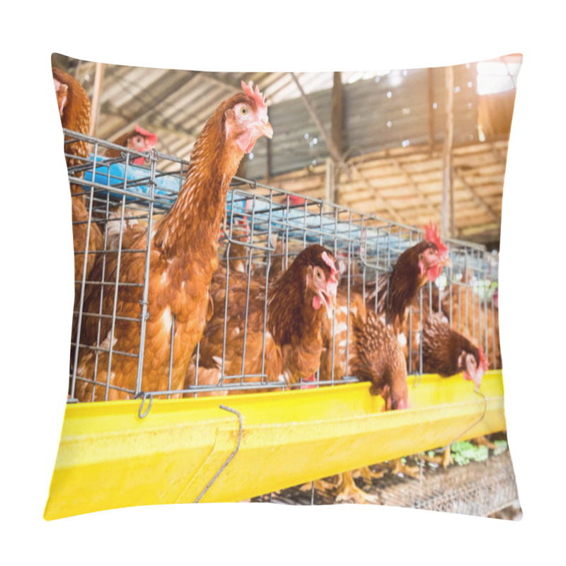 Personality  Laying Chicken Pillow Covers