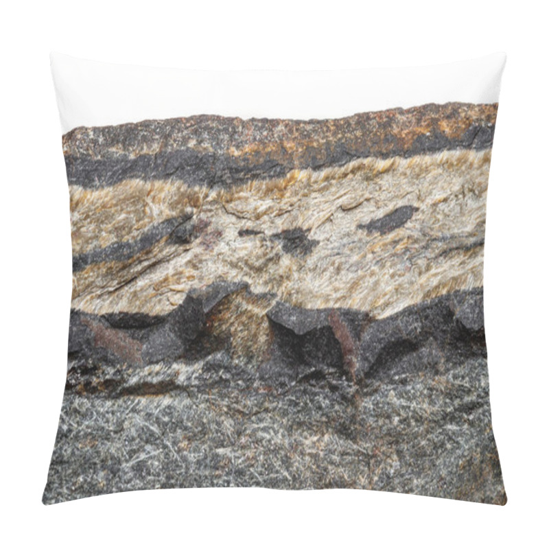 Personality  Macro Mineral Stone Snake Eye In The Rock A White Background Close Up Pillow Covers