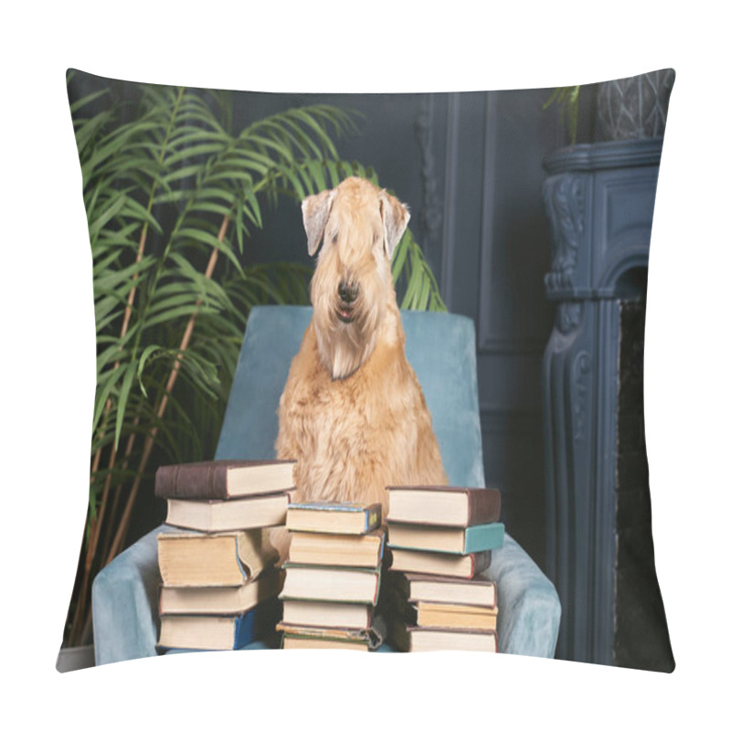 Personality  Curly-haired Dog Sits On Chair In Apartment Pillow Covers