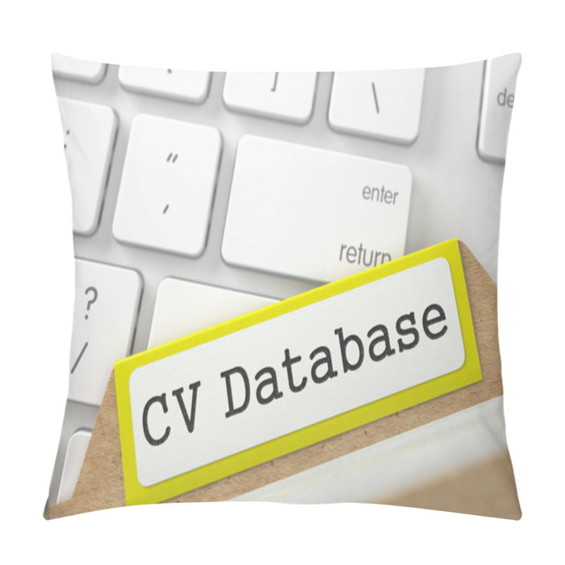 Personality  Card File With Inscription CV Database. 3D. Pillow Covers