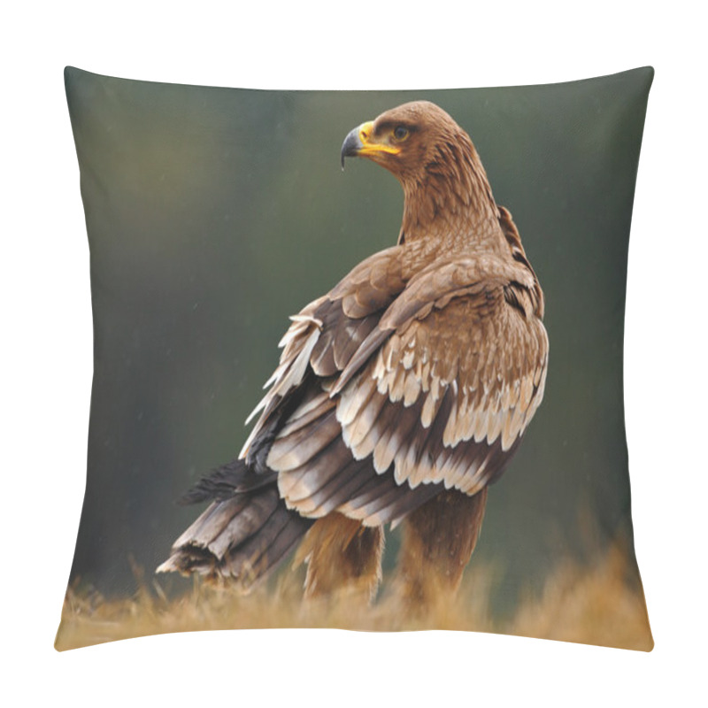 Personality  Steppe Eagle Sitting In The Grass Pillow Covers