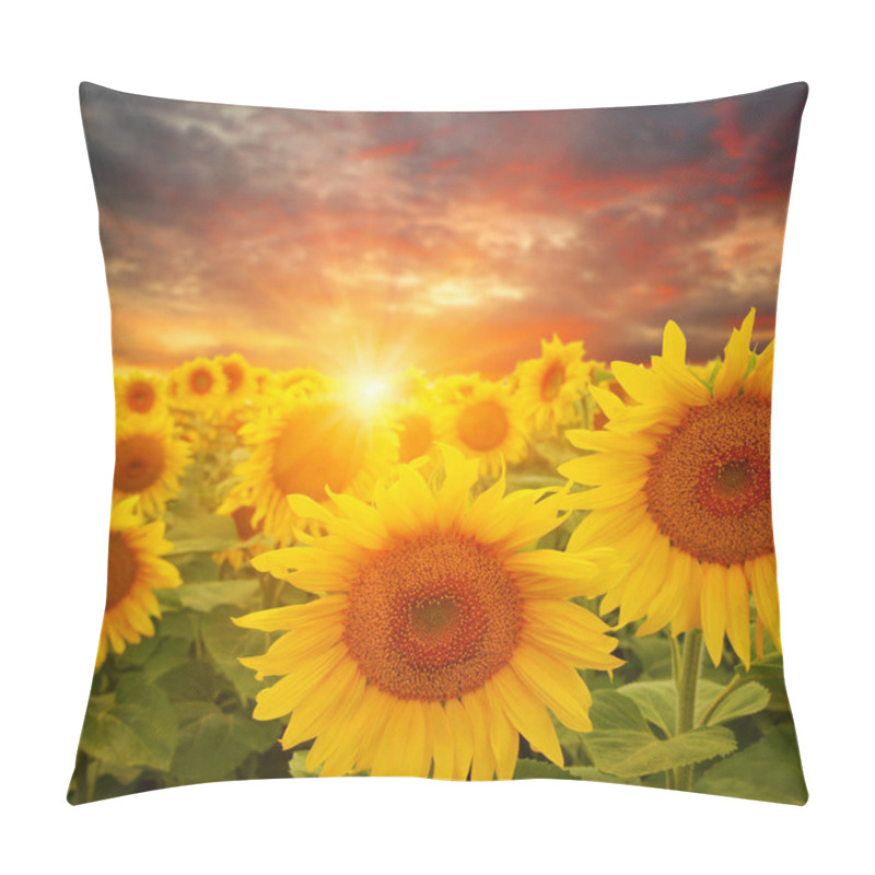 Personality  Field Of Sunflowers And Sun  Pillow Covers