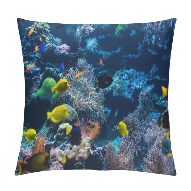 Personality   Tropical Fish. Underwater World Landscape Pillow Covers