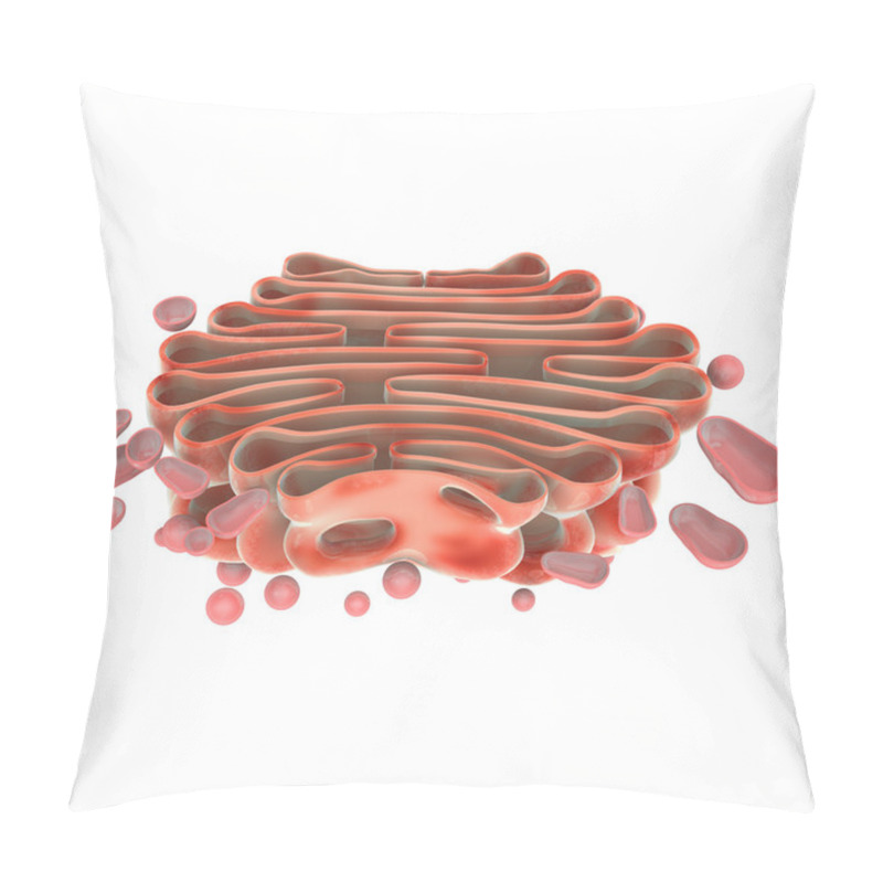 Personality  Golgi Complex Pillow Covers