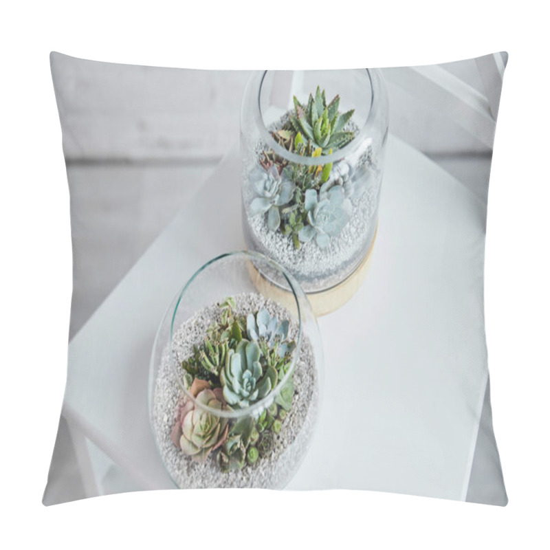 Personality  Top View Of Decorative Exotic Succulents In Glass Flowerpots On White Chair Pillow Covers