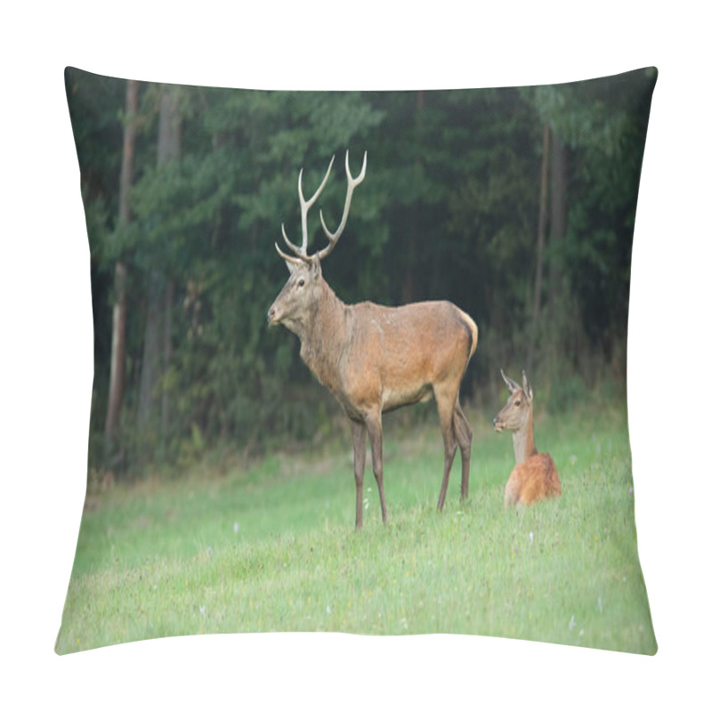 Personality  Red Deer Couple On A Meadow With Forest In Background. Pillow Covers