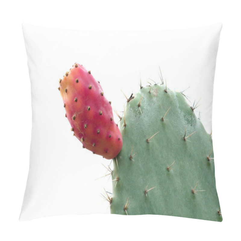 Personality  Opuntia With Ripe Fruits Pillow Covers