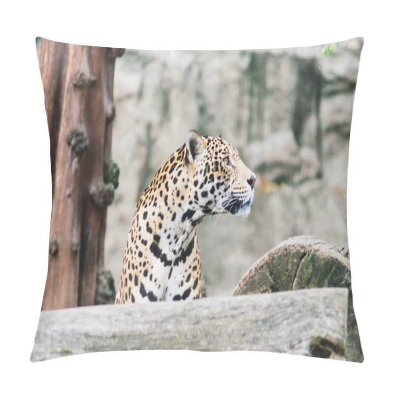 Personality  Leopard Pantera Padus Kotiya Beast In A Rock Pillow Covers