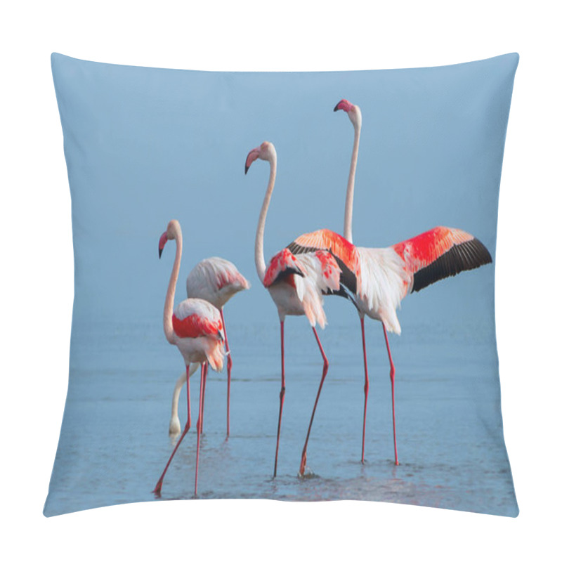 Personality  Wild African Birds. Group Birds Of Pink African Flamingos  Walking Around The Blue Lagoon On A Sunny Day Pillow Covers