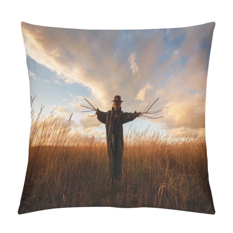 Personality  Scary Scarecrow In A Hat Pillow Covers