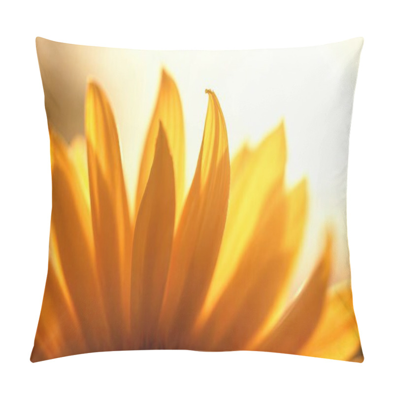 Personality  Macro Sunflower Petals In Vibrant Orange And Yellow, Backlit Silhouette, Golden Hour Glow, Soft Focus, Abstract Floral Pillow Covers