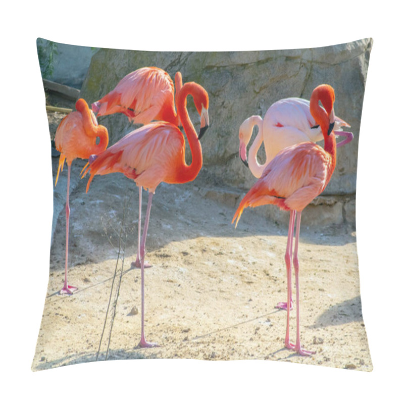 Personality  Captivating Group Of American Flamingos: Graceful Birds In Harmony Pillow Covers