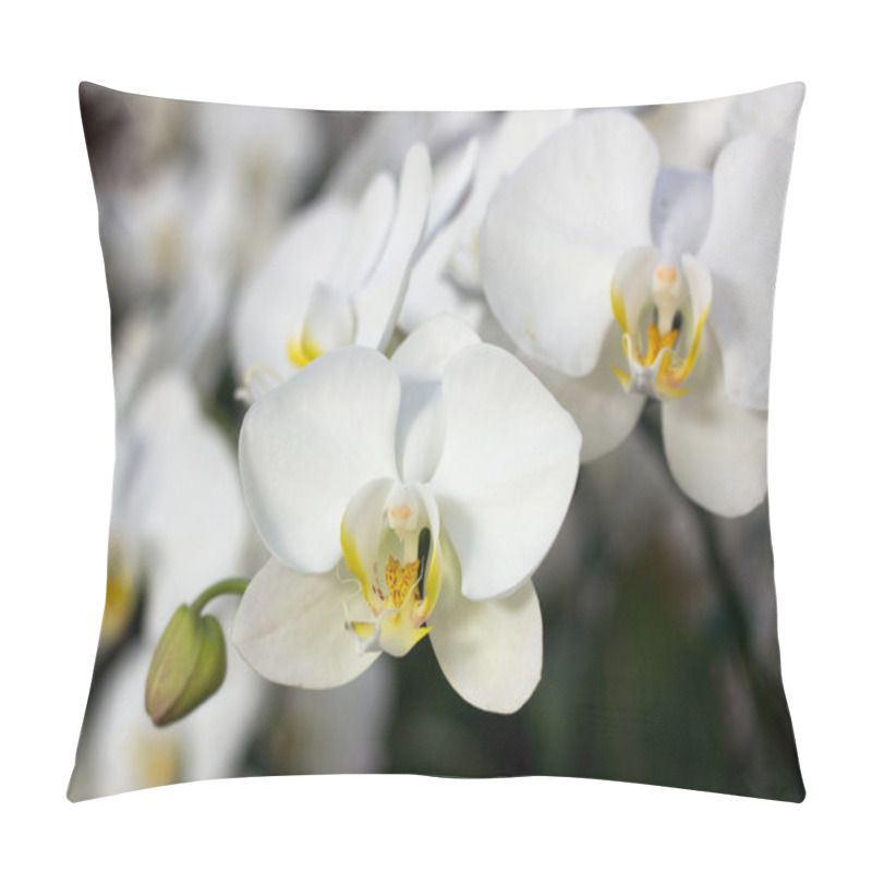 Personality  Orchid Flower Pillow Covers