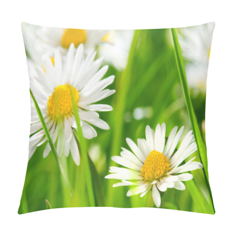 Personality  Daisies Pillow Covers