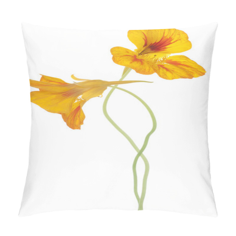 Personality  Nasturtium Pillow Covers